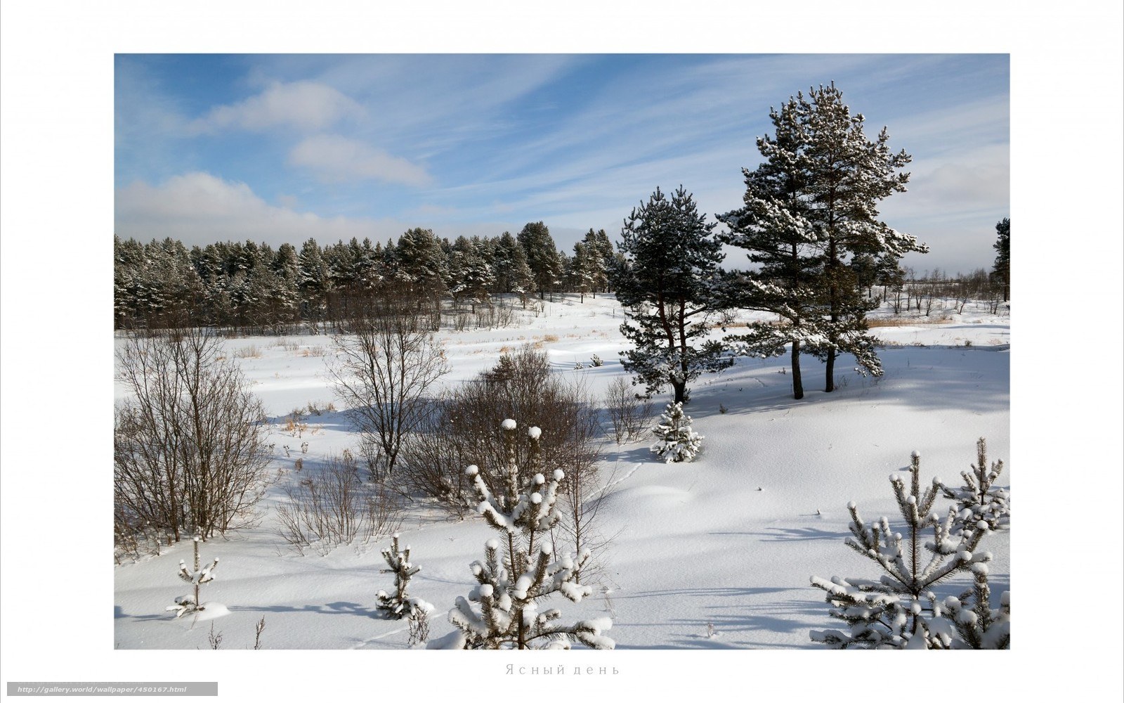 Snowy winter landscape