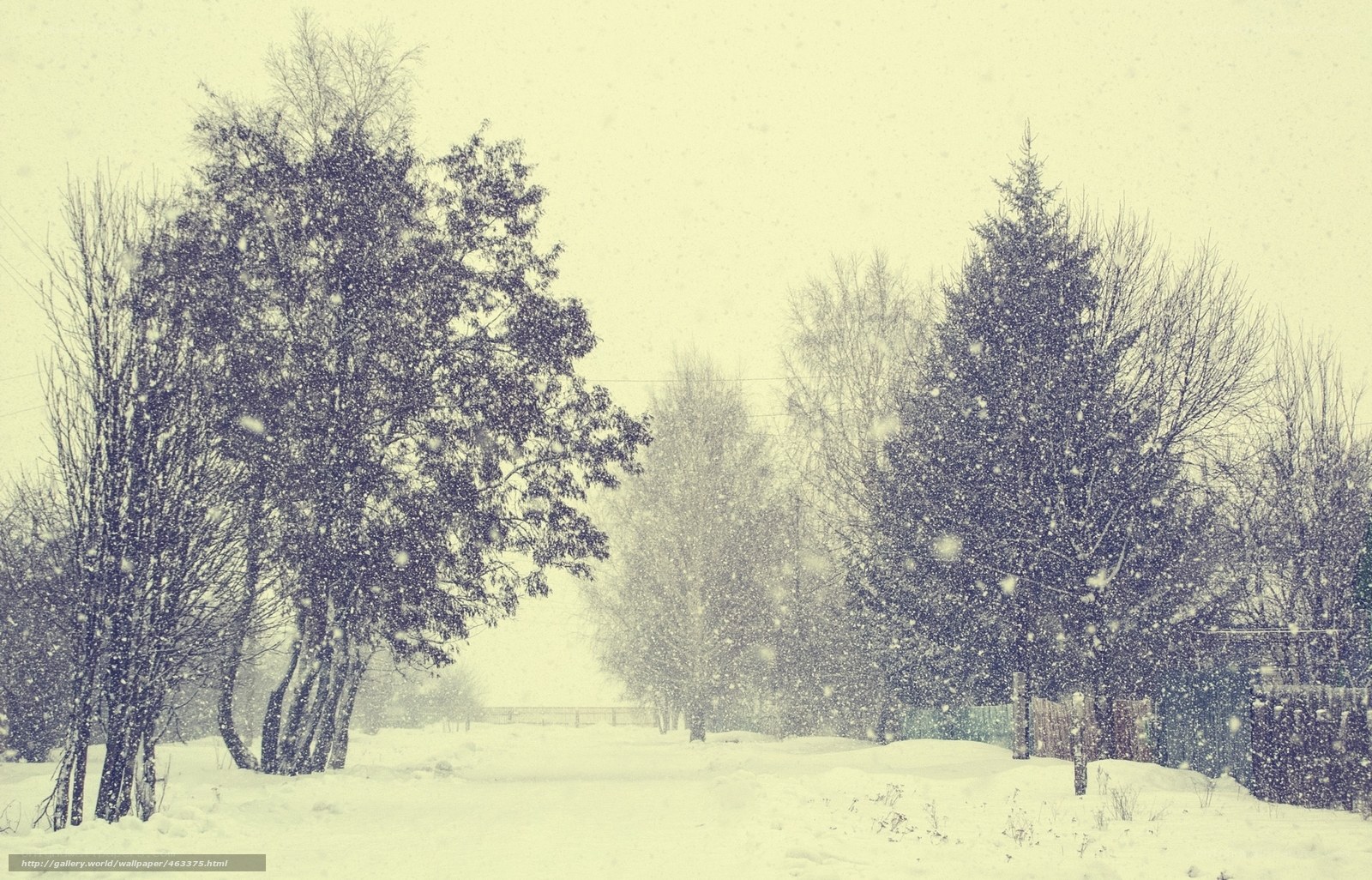 Snowy winter landscape