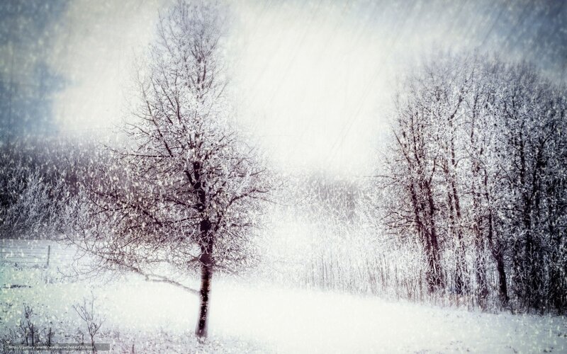 Snowy winter landscape