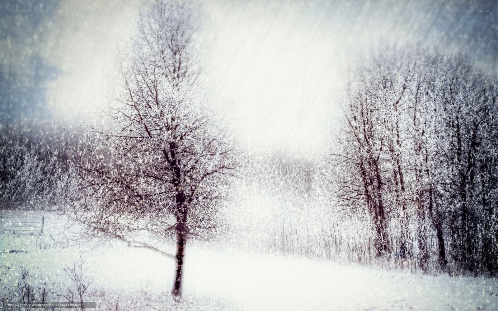 Snowy winter landscape