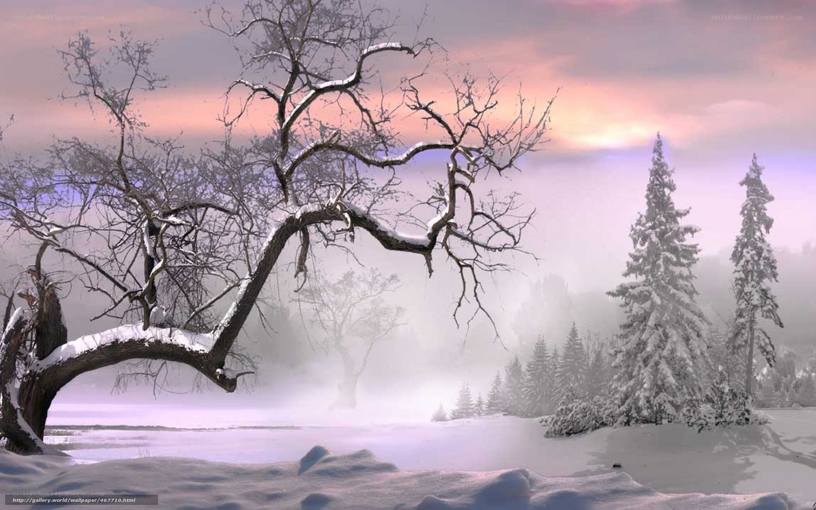 Snowy winter landscape