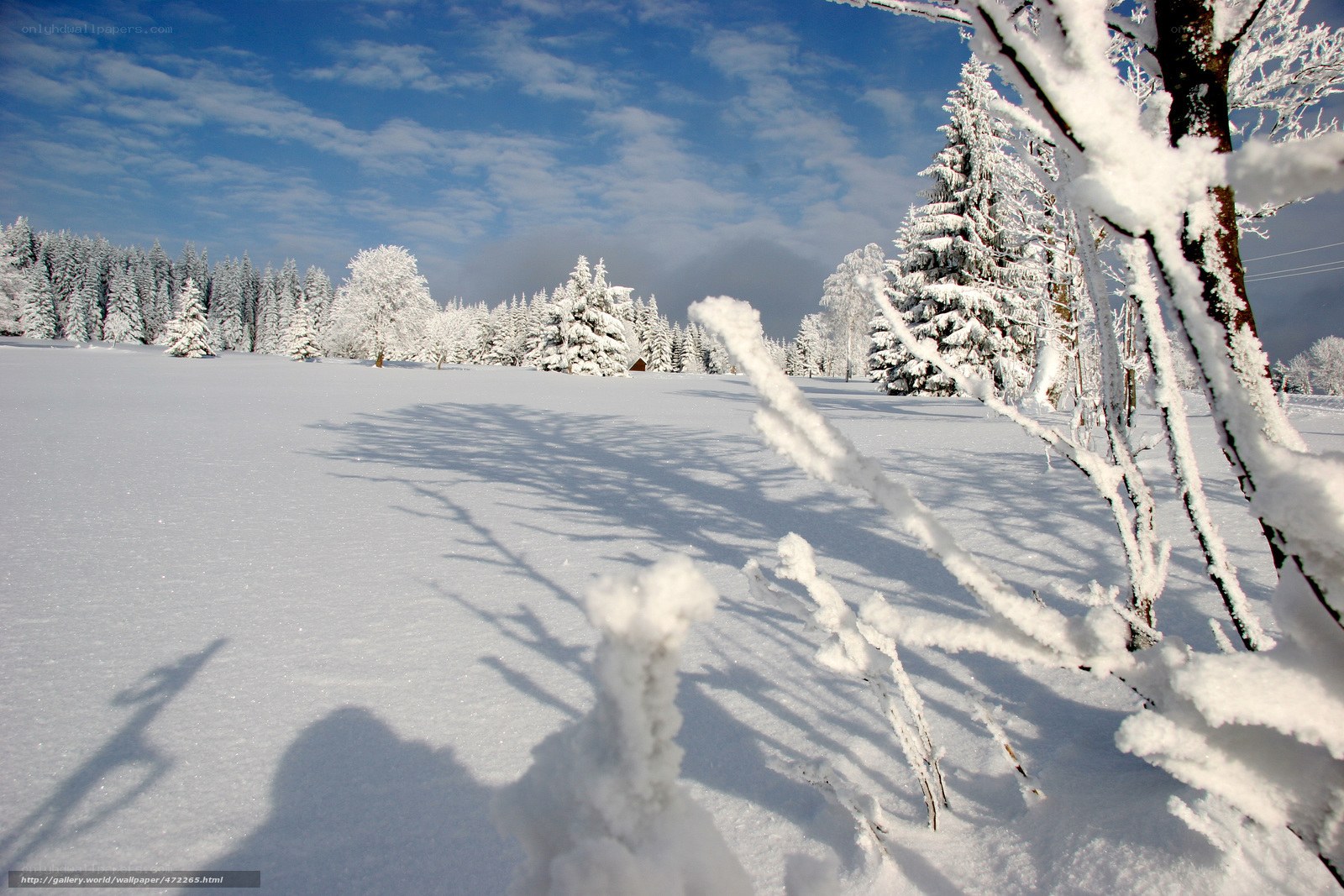 Snowy winter landscape