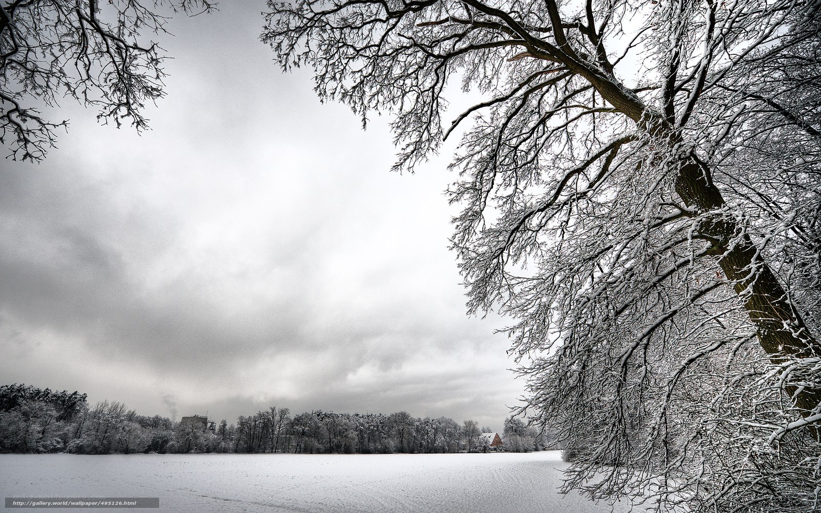 Snowy winter landscape