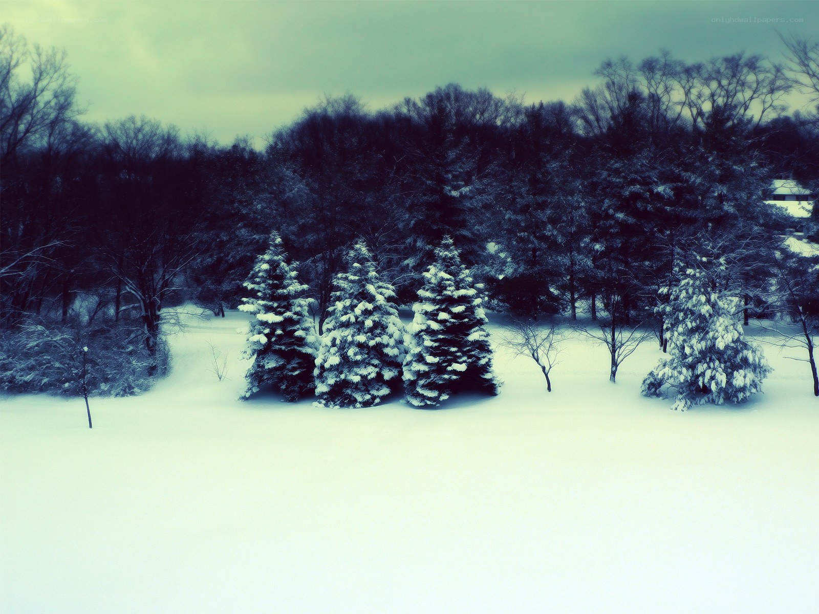 Snowy winter landscape