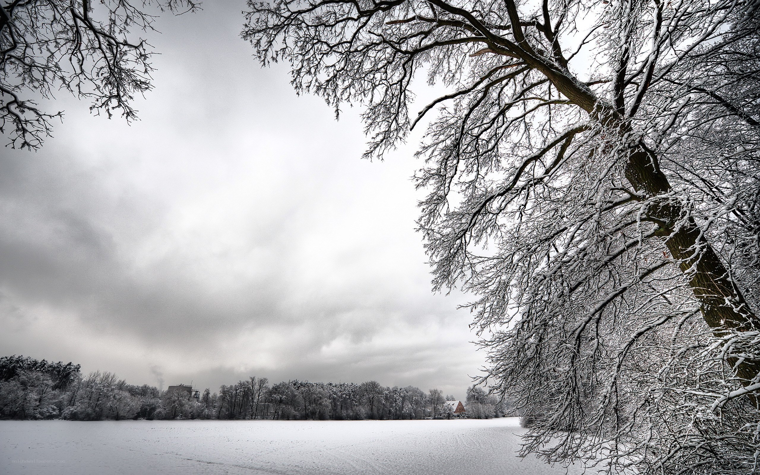 Snowy winter landscape