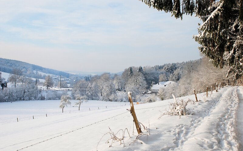 Snowy winter landscape