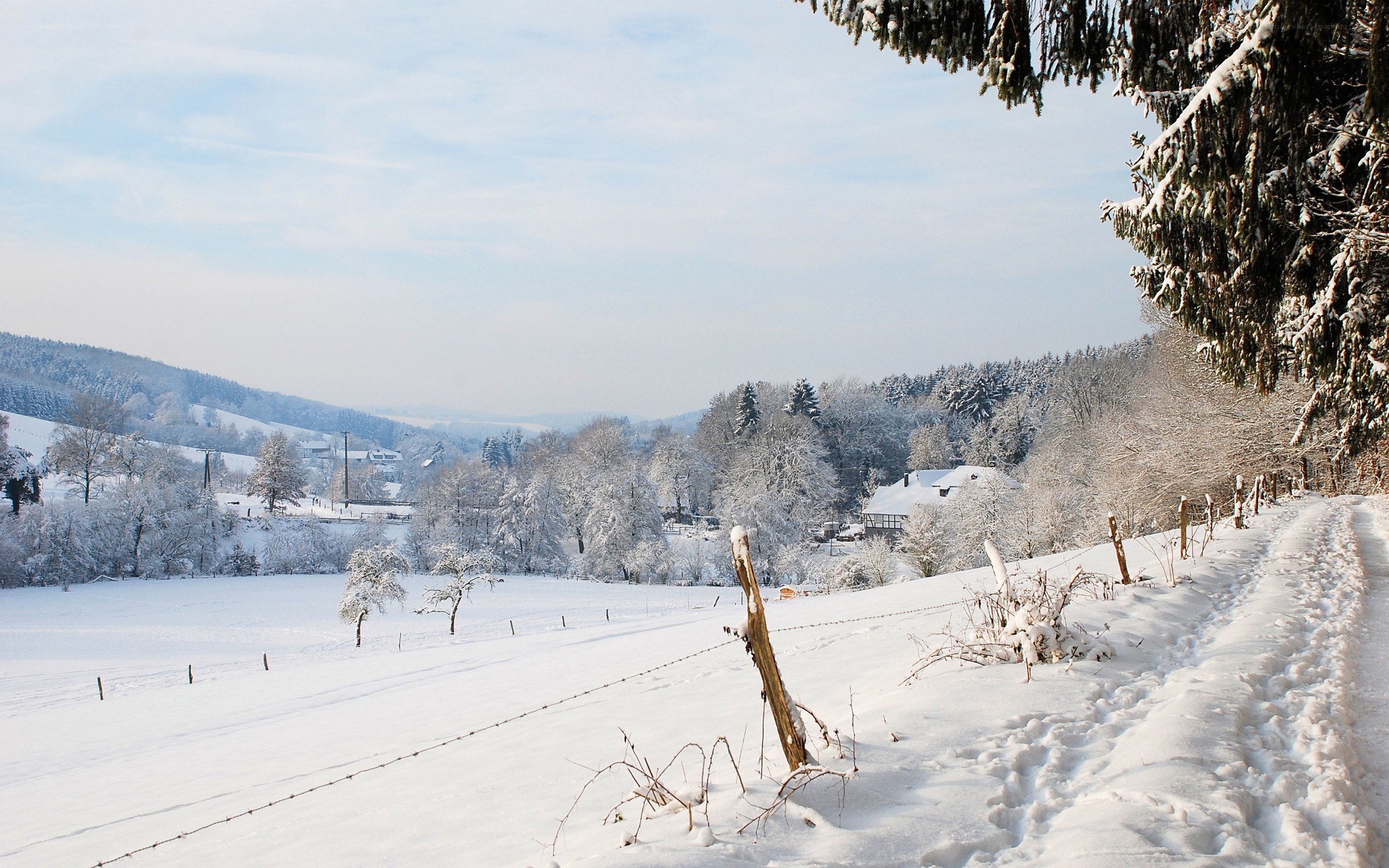 Snowy winter landscape
