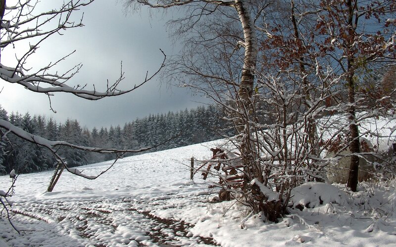 Snowy winter landscape