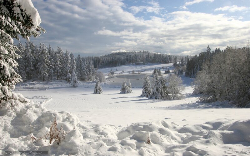 Snowy winter landscape