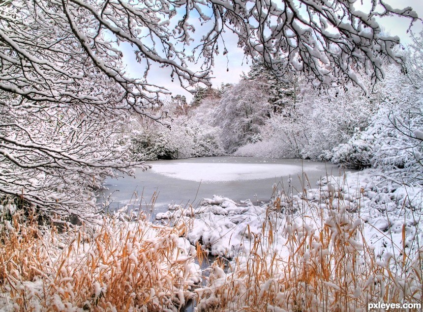Snowy winter landscape