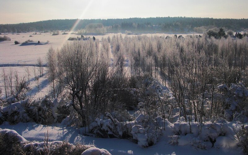 Snowy winter landscape