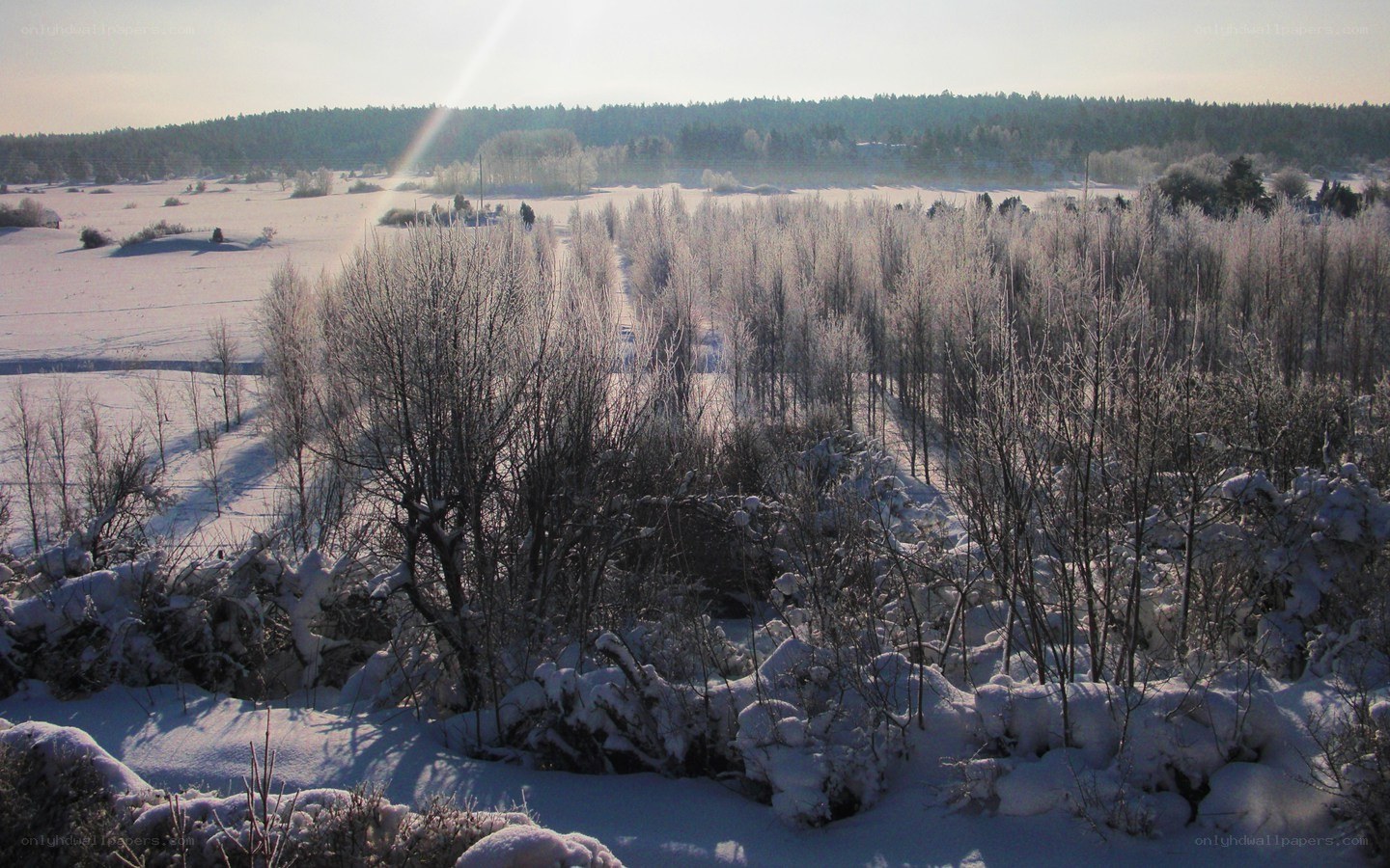 Snowy winter landscape