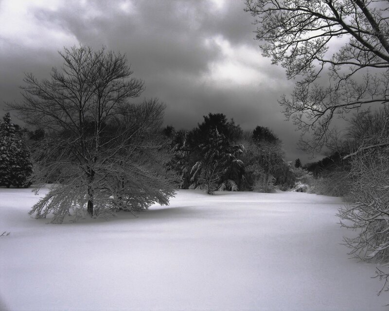 Snowy winter landscape