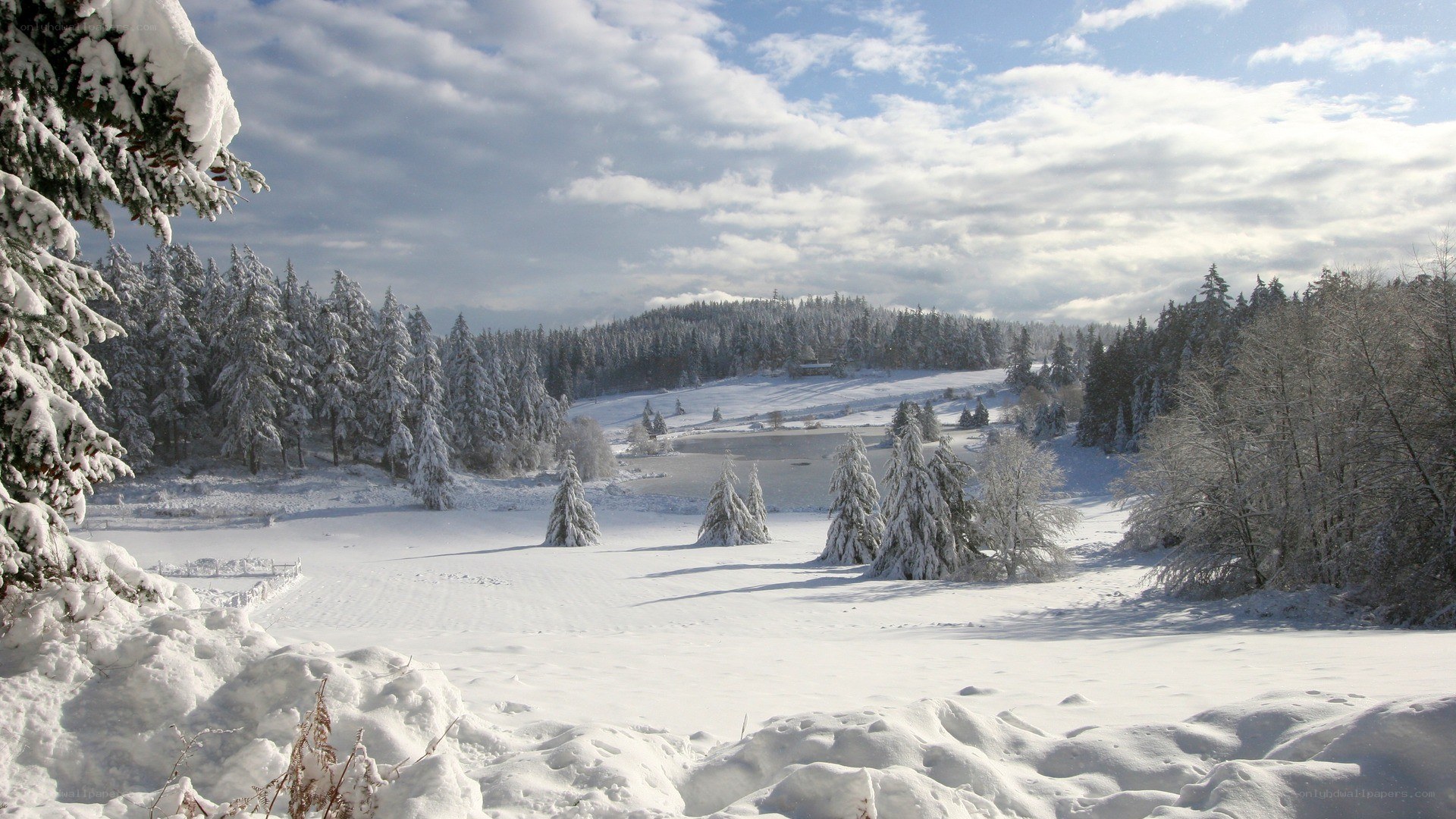 Snowy winter landscape