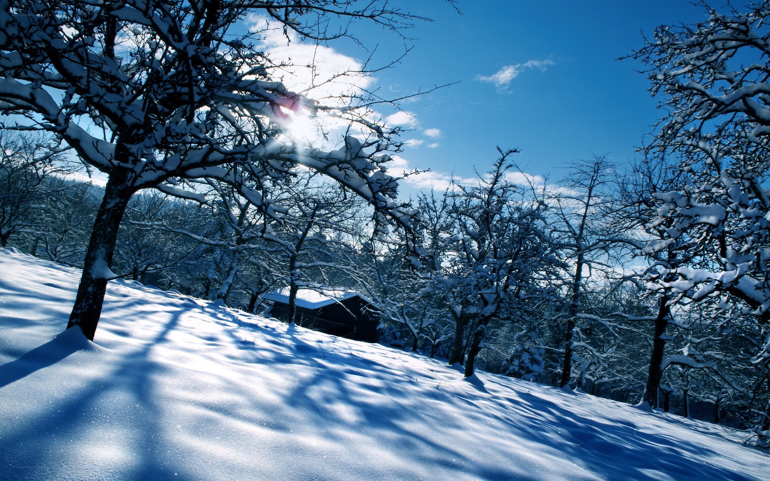 Snowy winter landscape