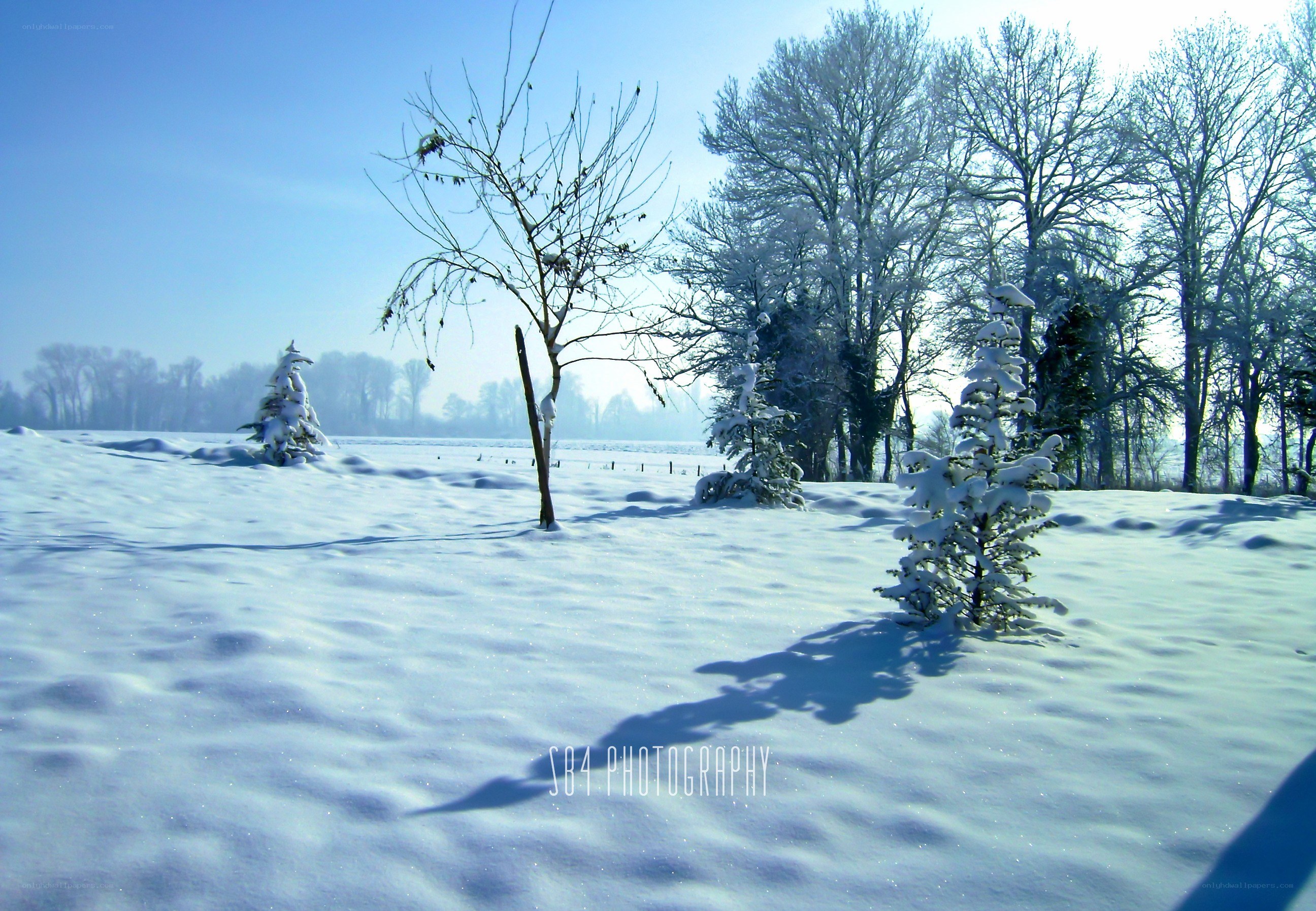 Snowy winter landscape