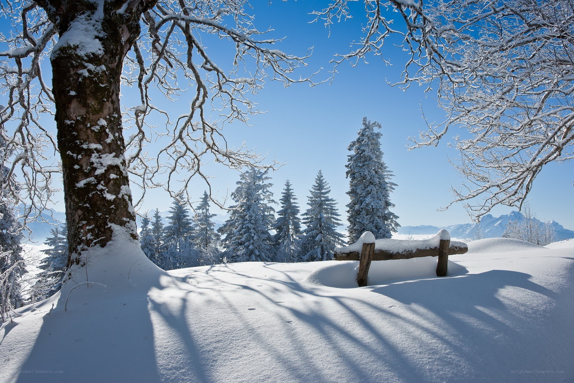Snowy winter landscape