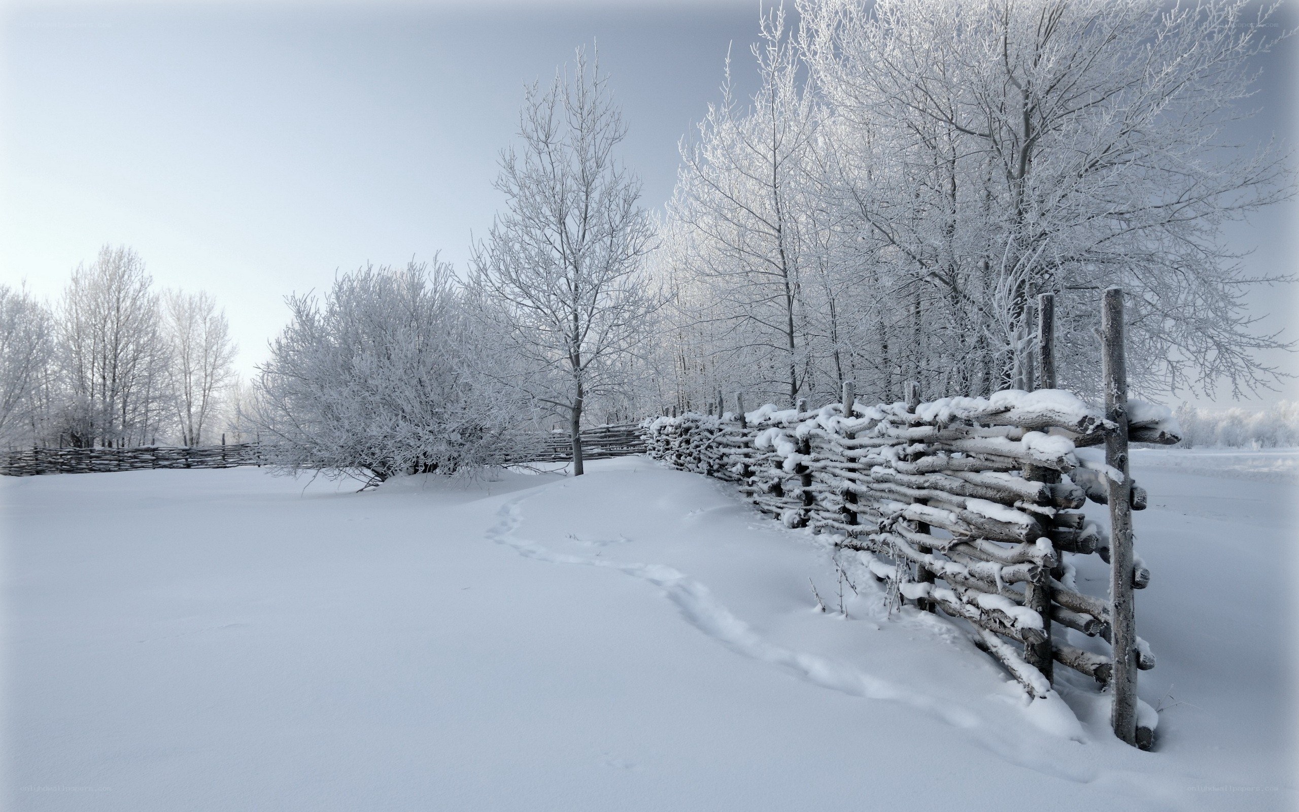 Snowy winter landscape
