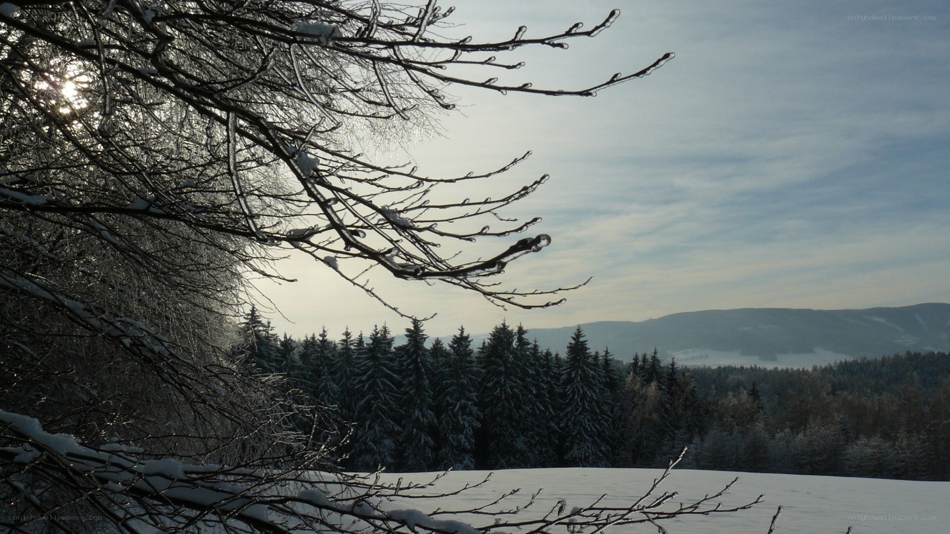 Snowy winter landscape