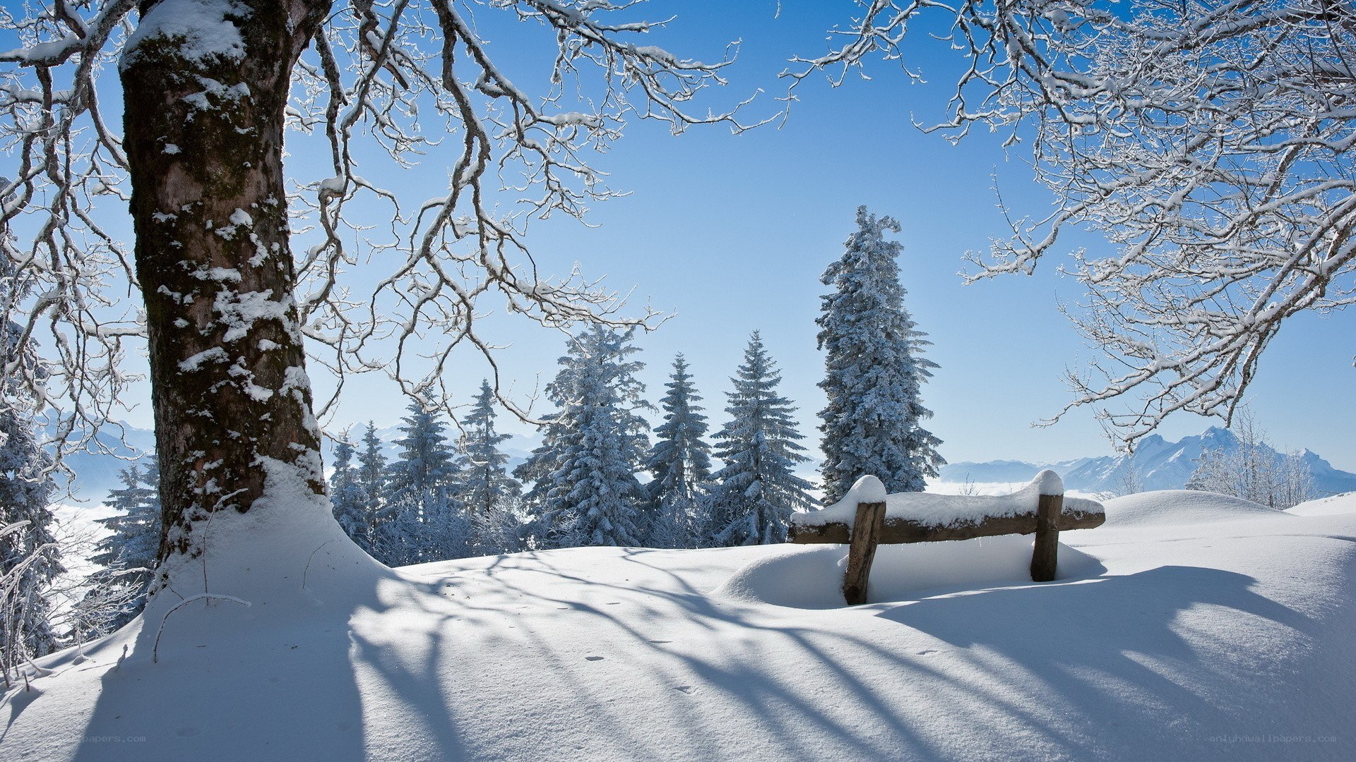Snowy winter landscape