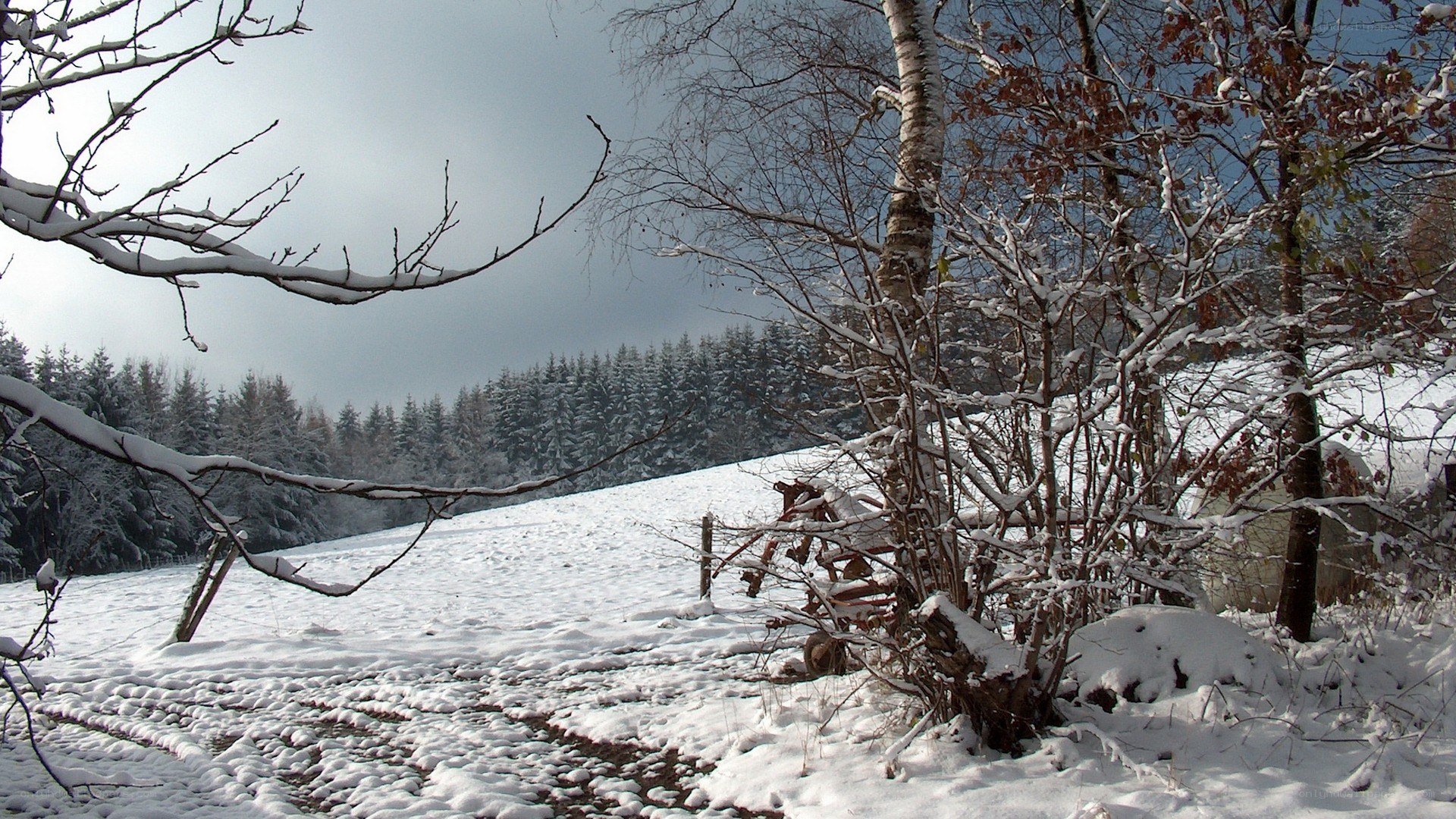 Snowy winter landscape