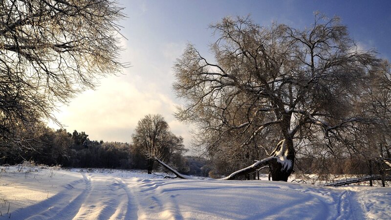 Snowy winter landscape