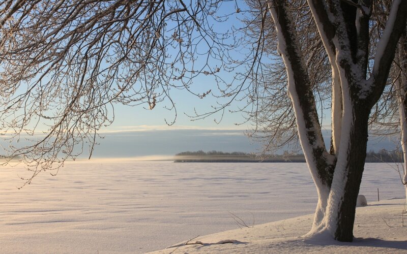 Snowy winter landscape