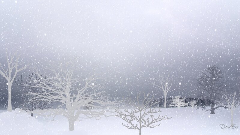 Snowy winter landscape