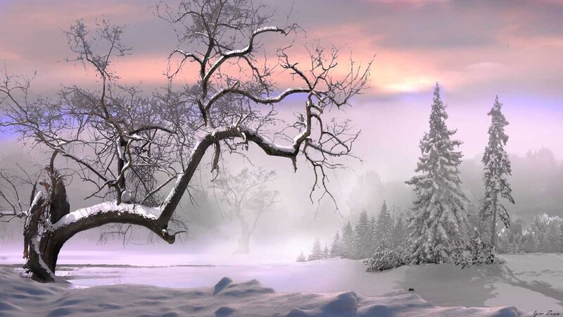 Snowy winter landscape at dawn
