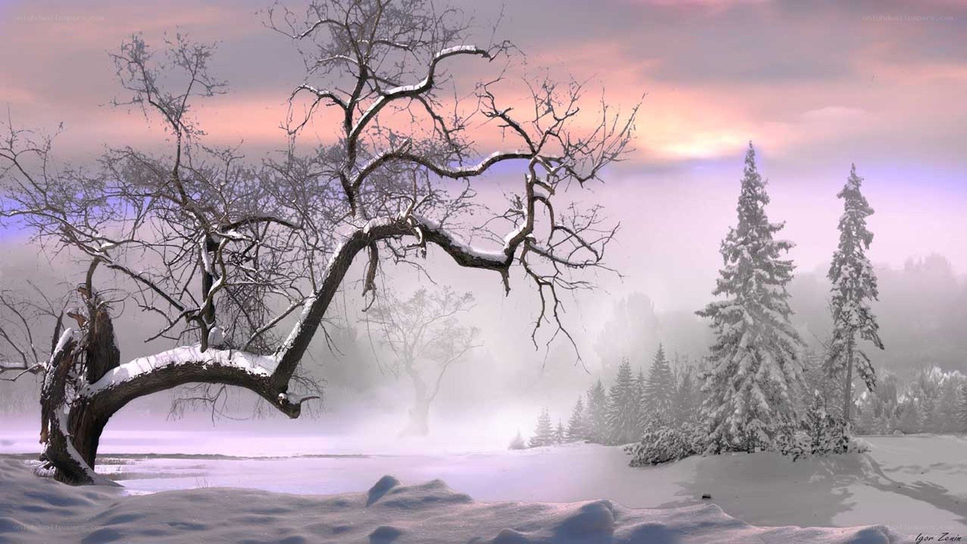 Snowy winter landscape at dawn