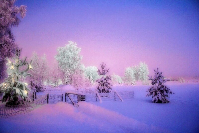 Snowy winter landscape at dusk