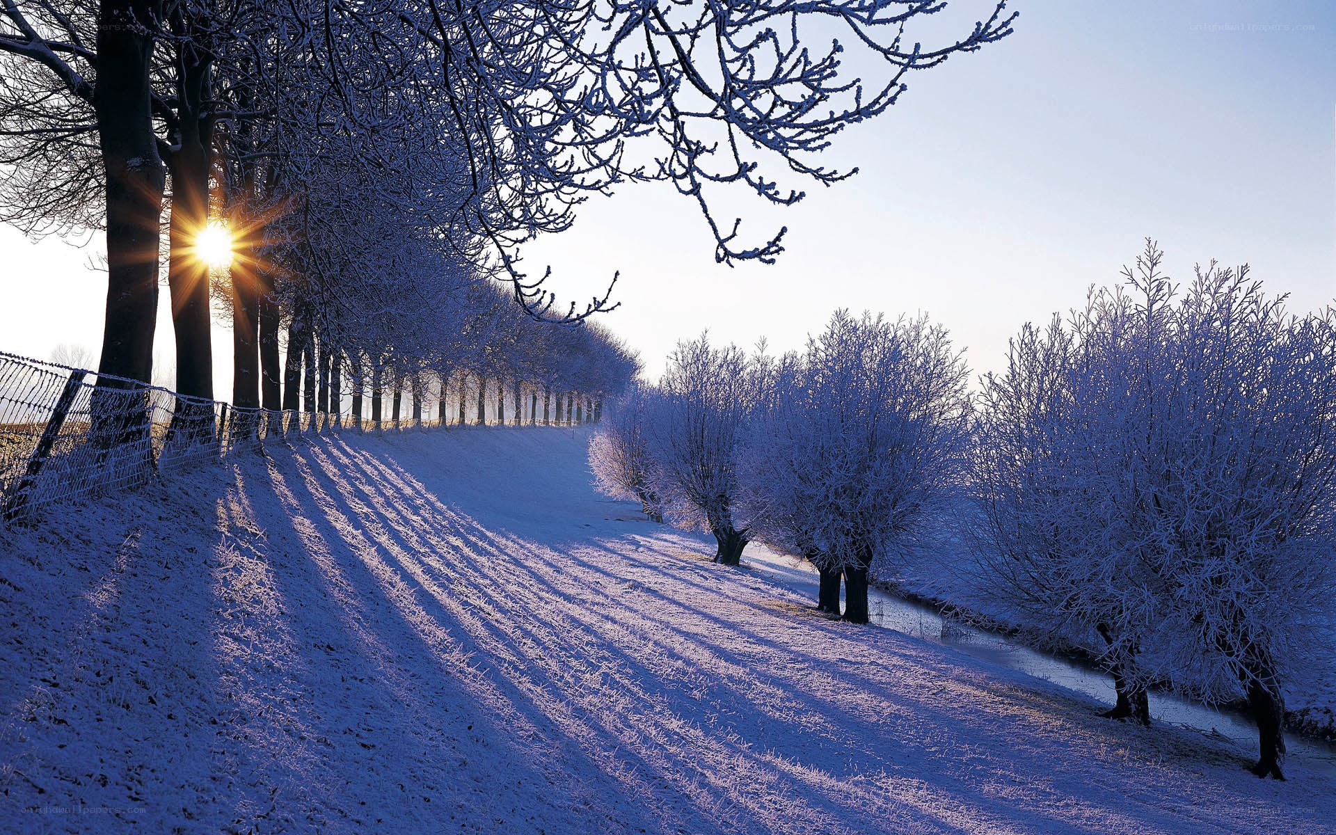 Snowy winter landscape at sunrise