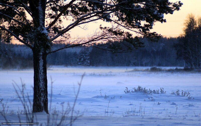 Snowy winter landscape at sunset