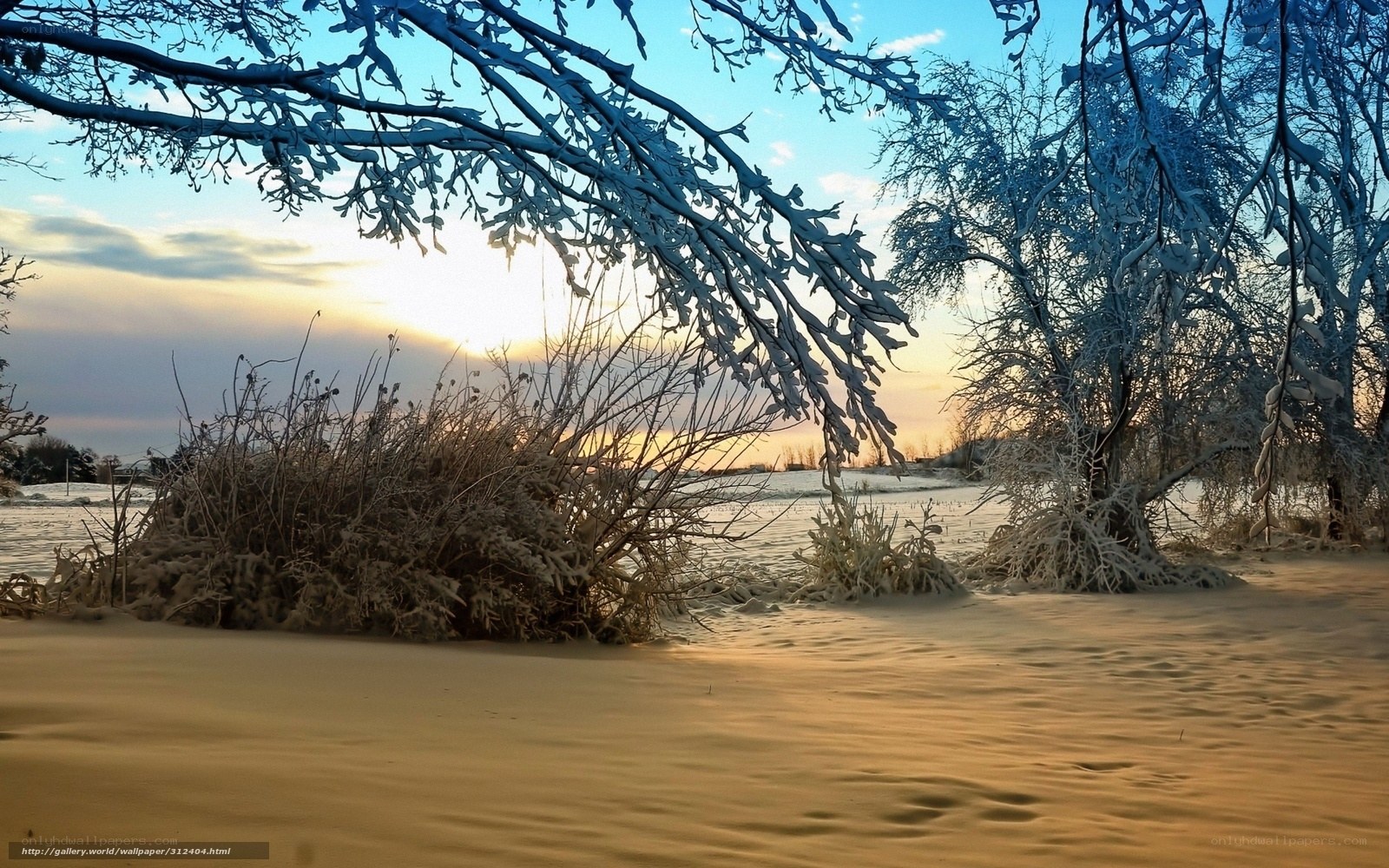 Snowy winter landscape at sunset