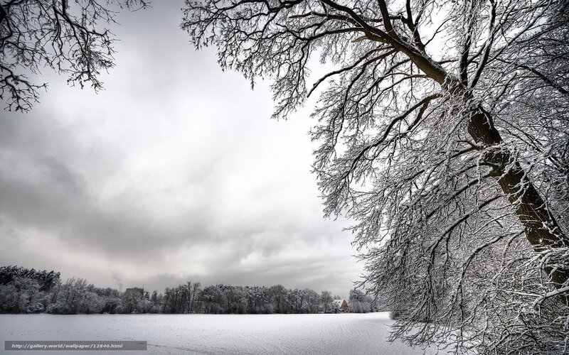 Snowy winter landscape