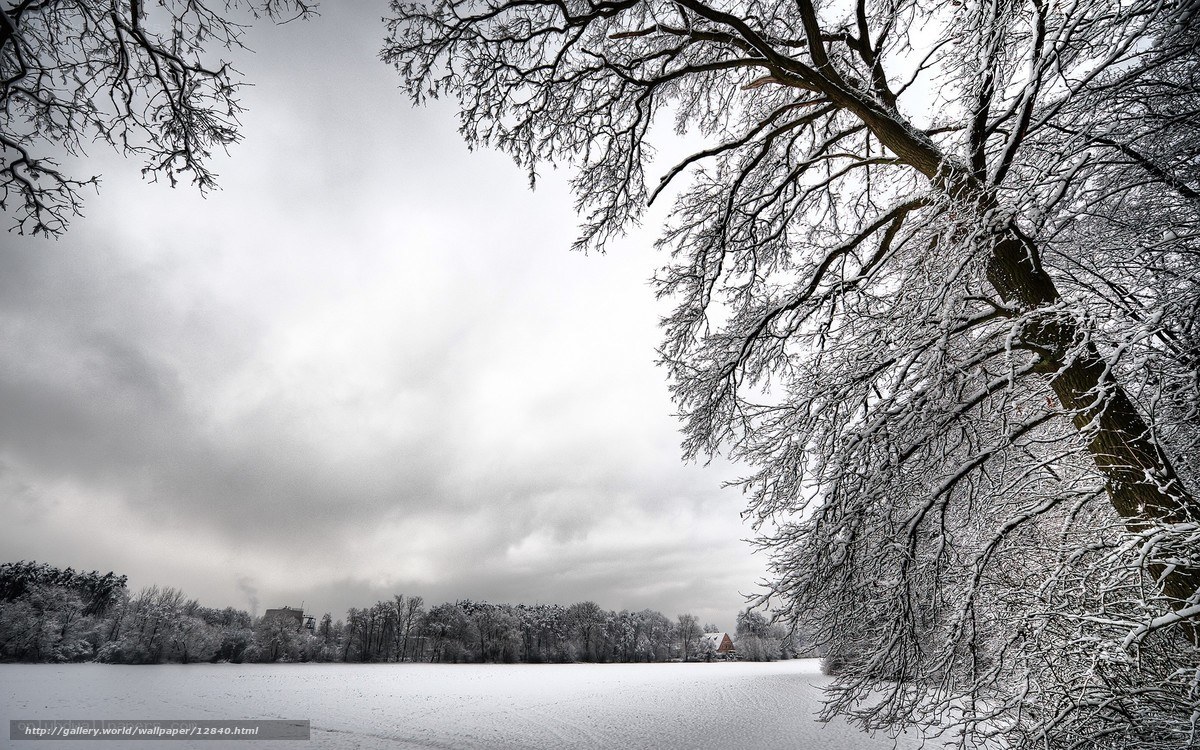 Snowy winter landscape