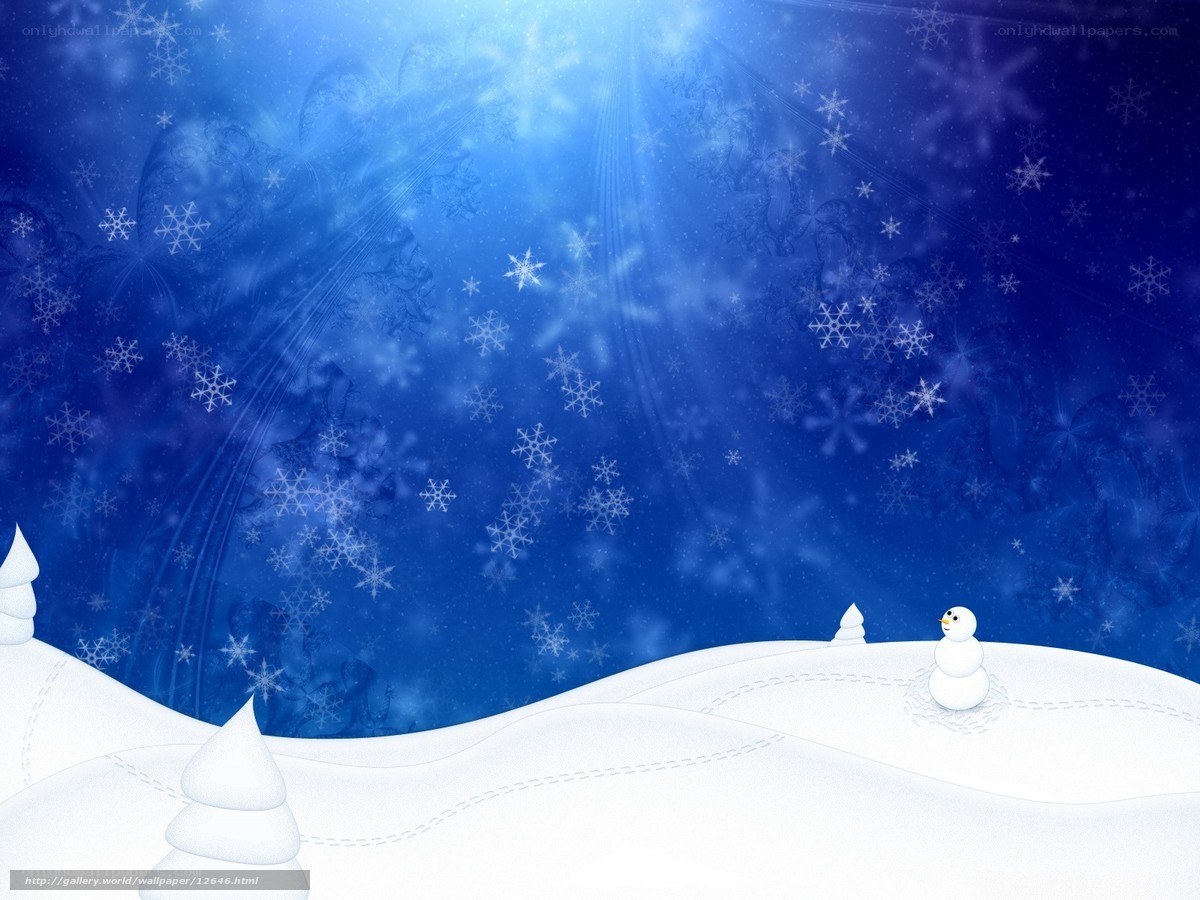 Snowy winter night scene
