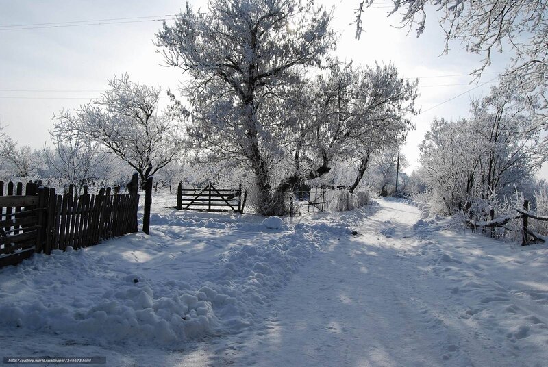 Snowy winter path