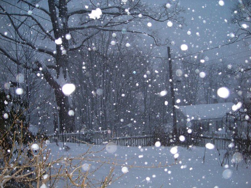 Snowy winter scene