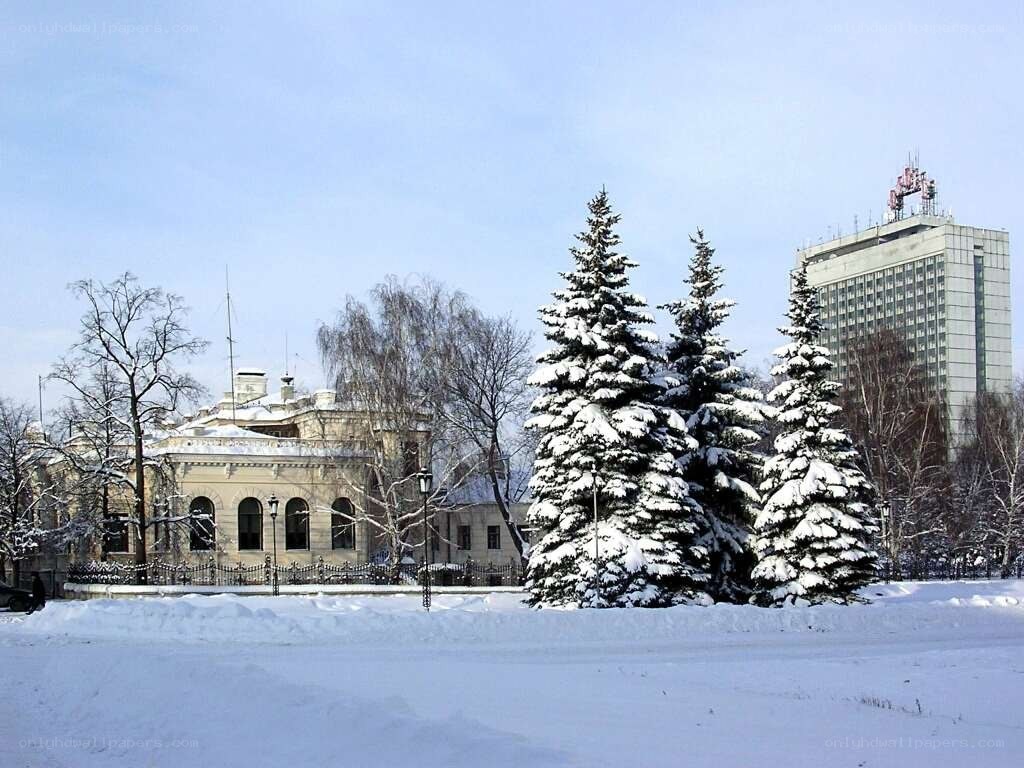Snowy winter scene with buildings
