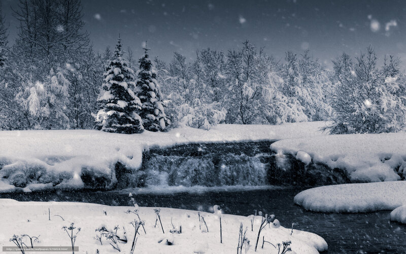 Snowy Winter Stream