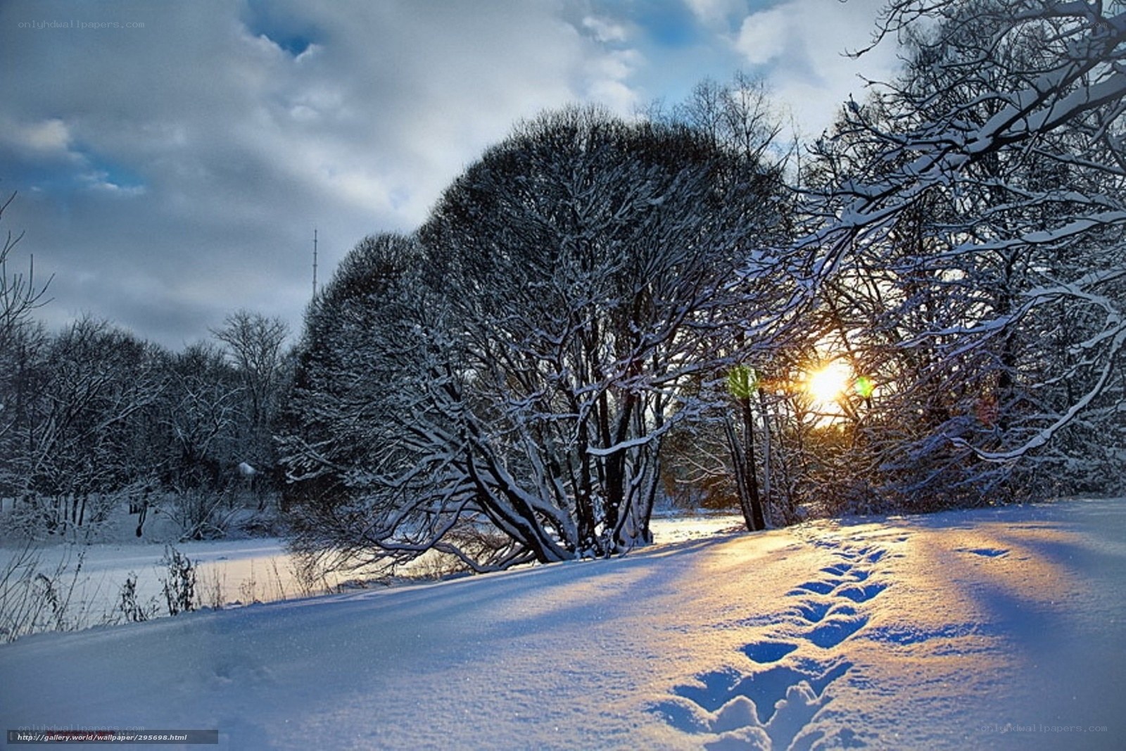 Snowy winter sunset landscape