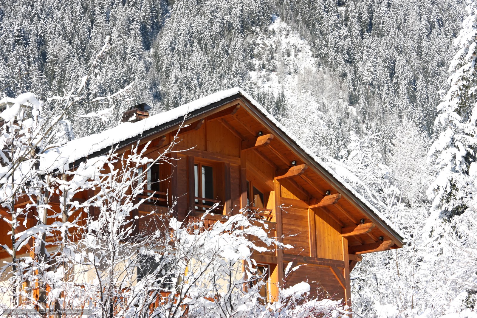 Snowy wooden cabin in forest