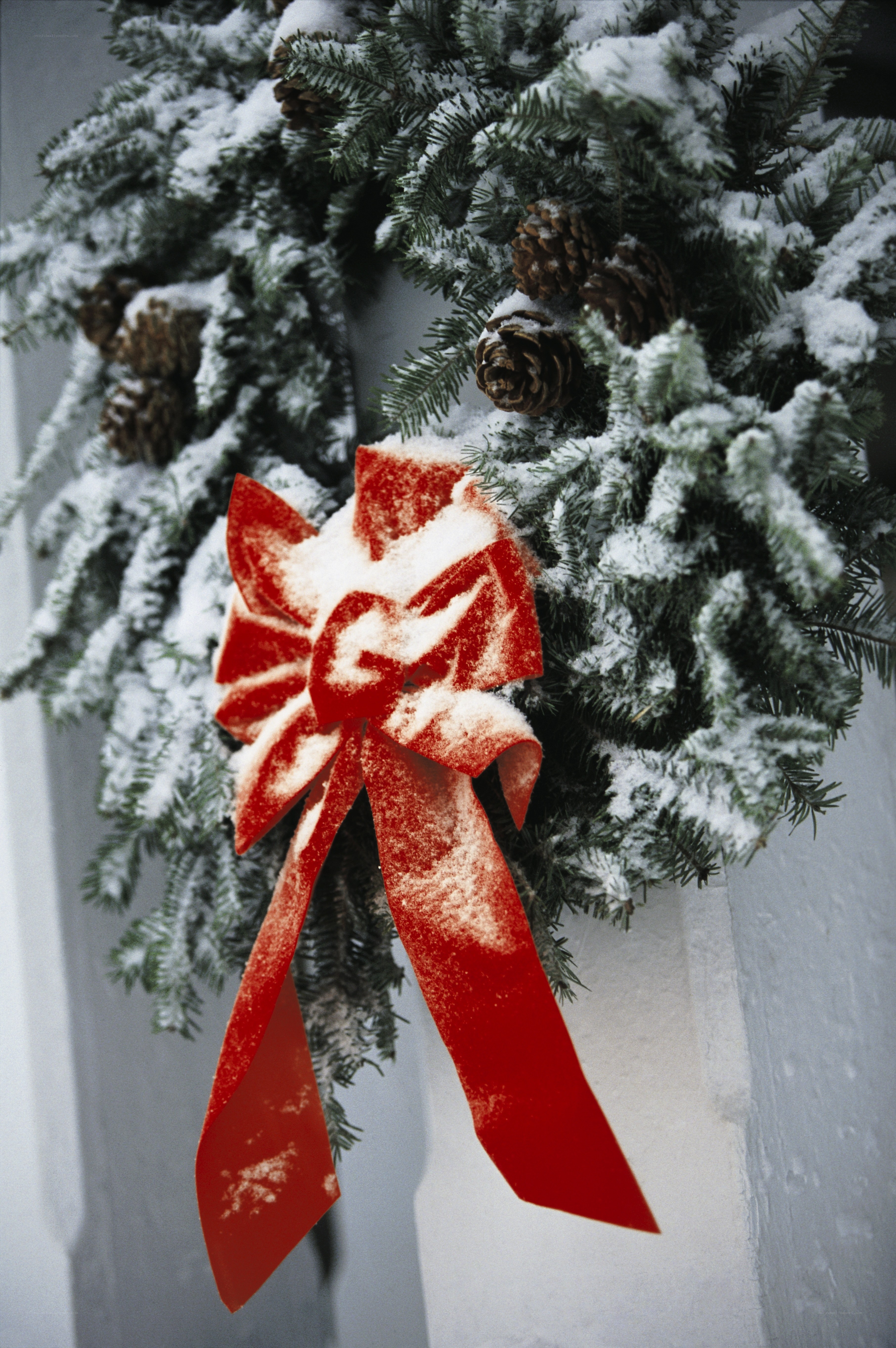 snowy wreath with red bow