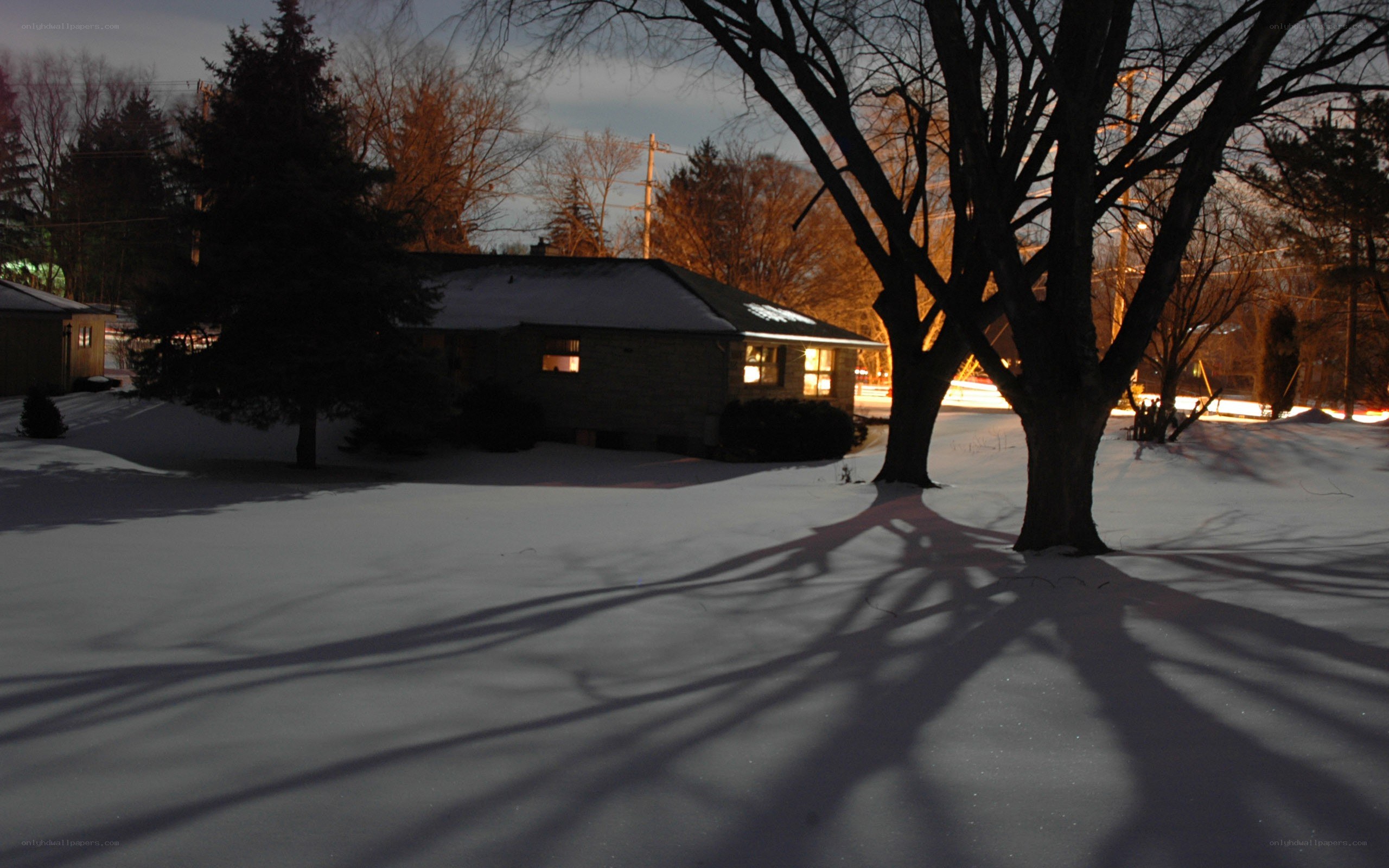 snowy yard at dusk