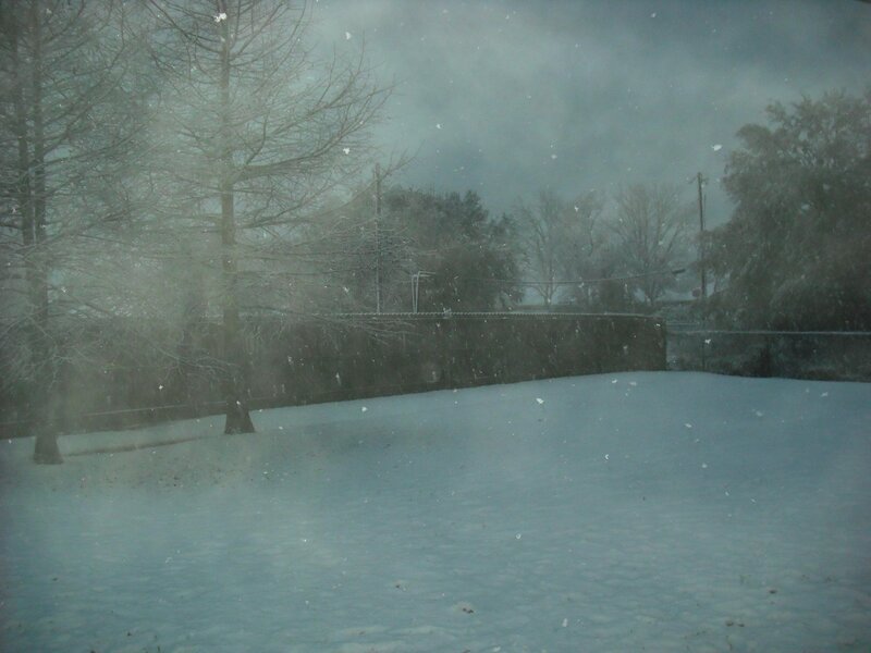 Snowy yard during a storm