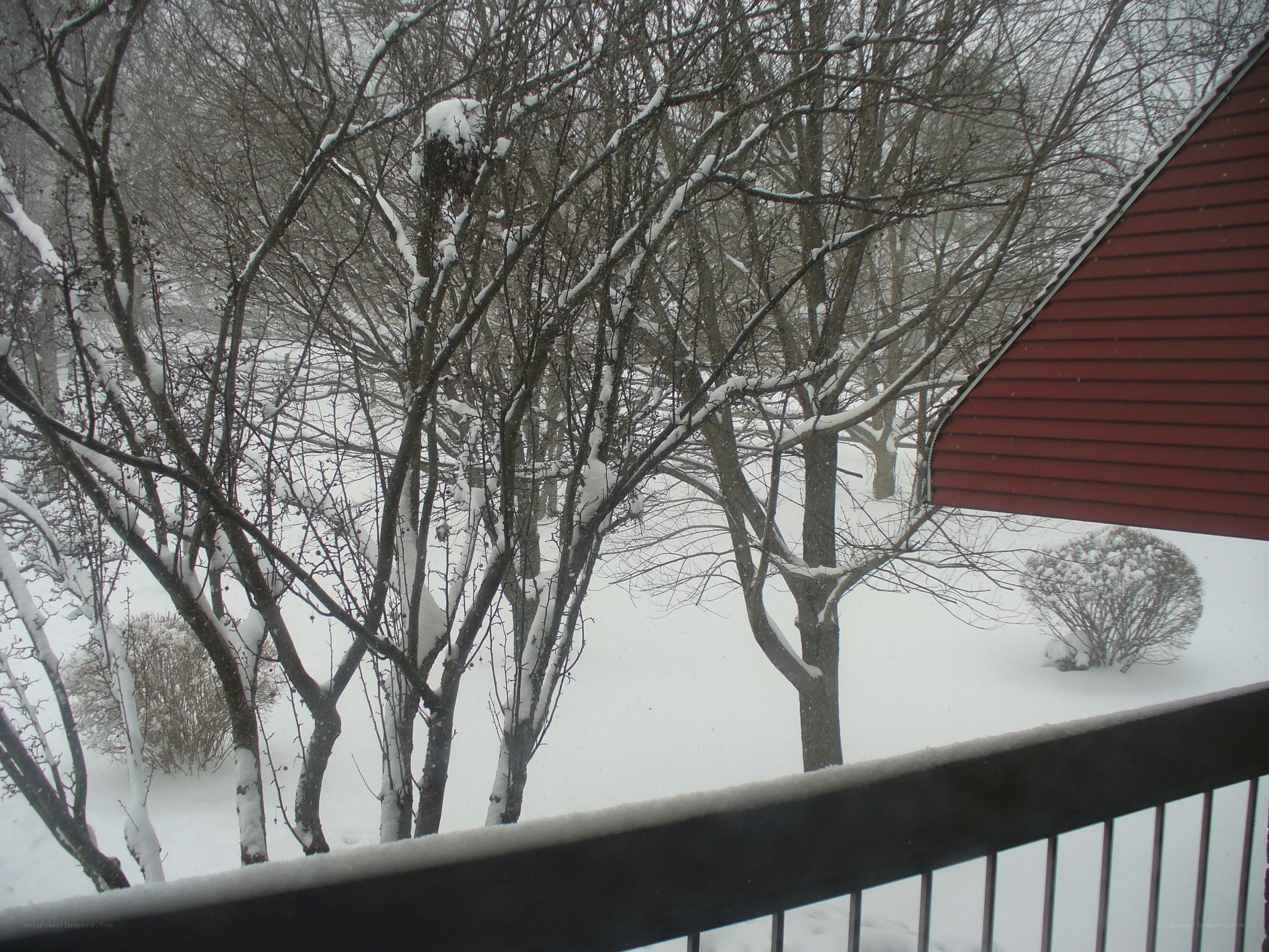 Snowy yard from balcony