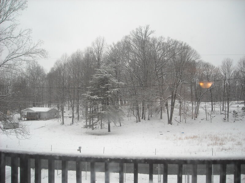 Snowy yard with house and trees