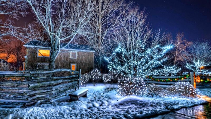 Snowy Yard with Lights