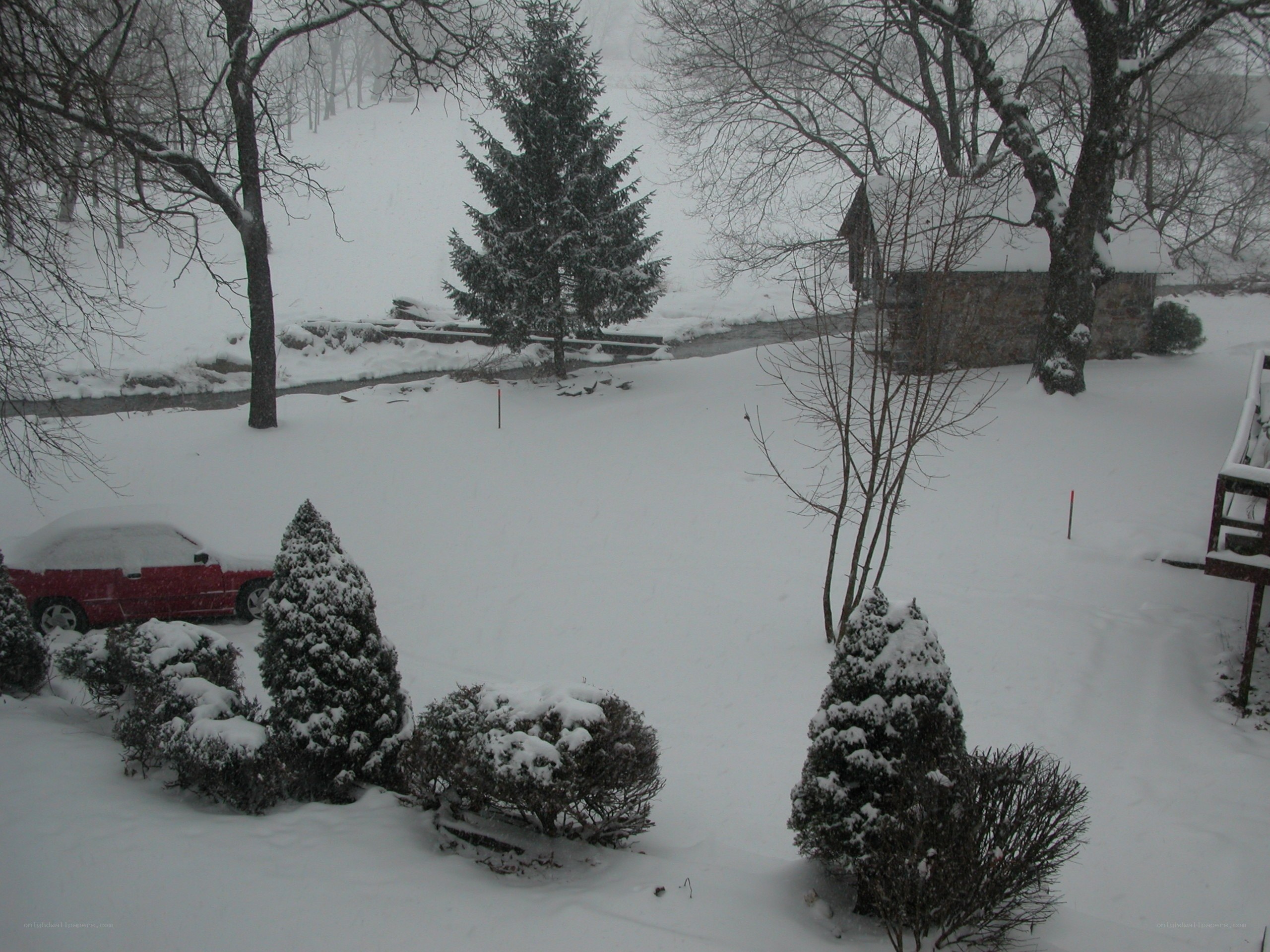 Snowy yard with red car